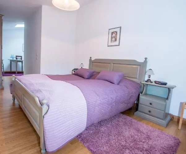 Guest house Bilz-pension 3*