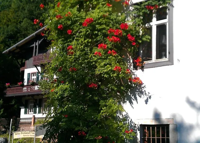 Guest house Bilz-pension Radebeul