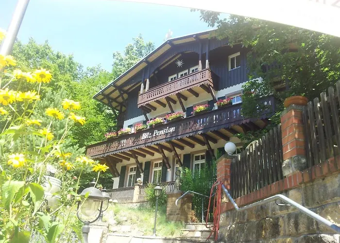 Guest house Bilz-pension
